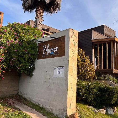 Blumen Hotel Concón Dış mekan fotoğraf